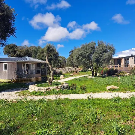 2 Au Coeur Du Maquis *