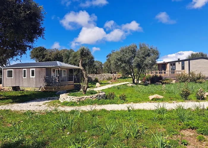 2 Au Coeur Du Maquis *